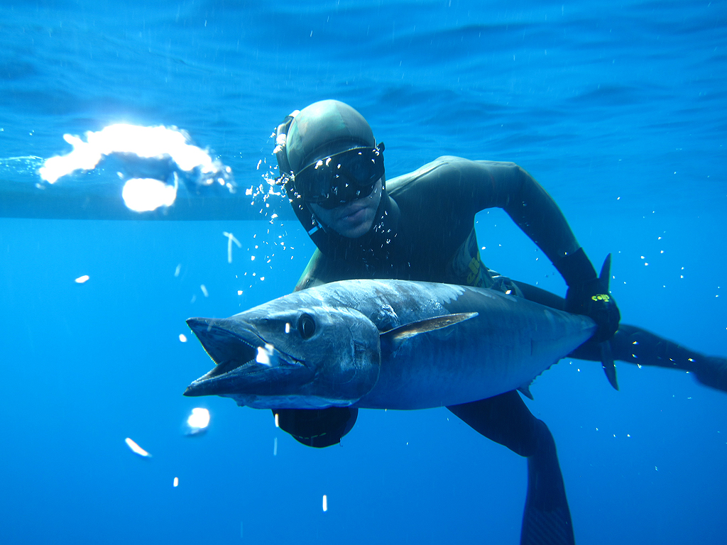 Spearfishing Stony Point - Spearfishing South Australia - HD Wallpaper 