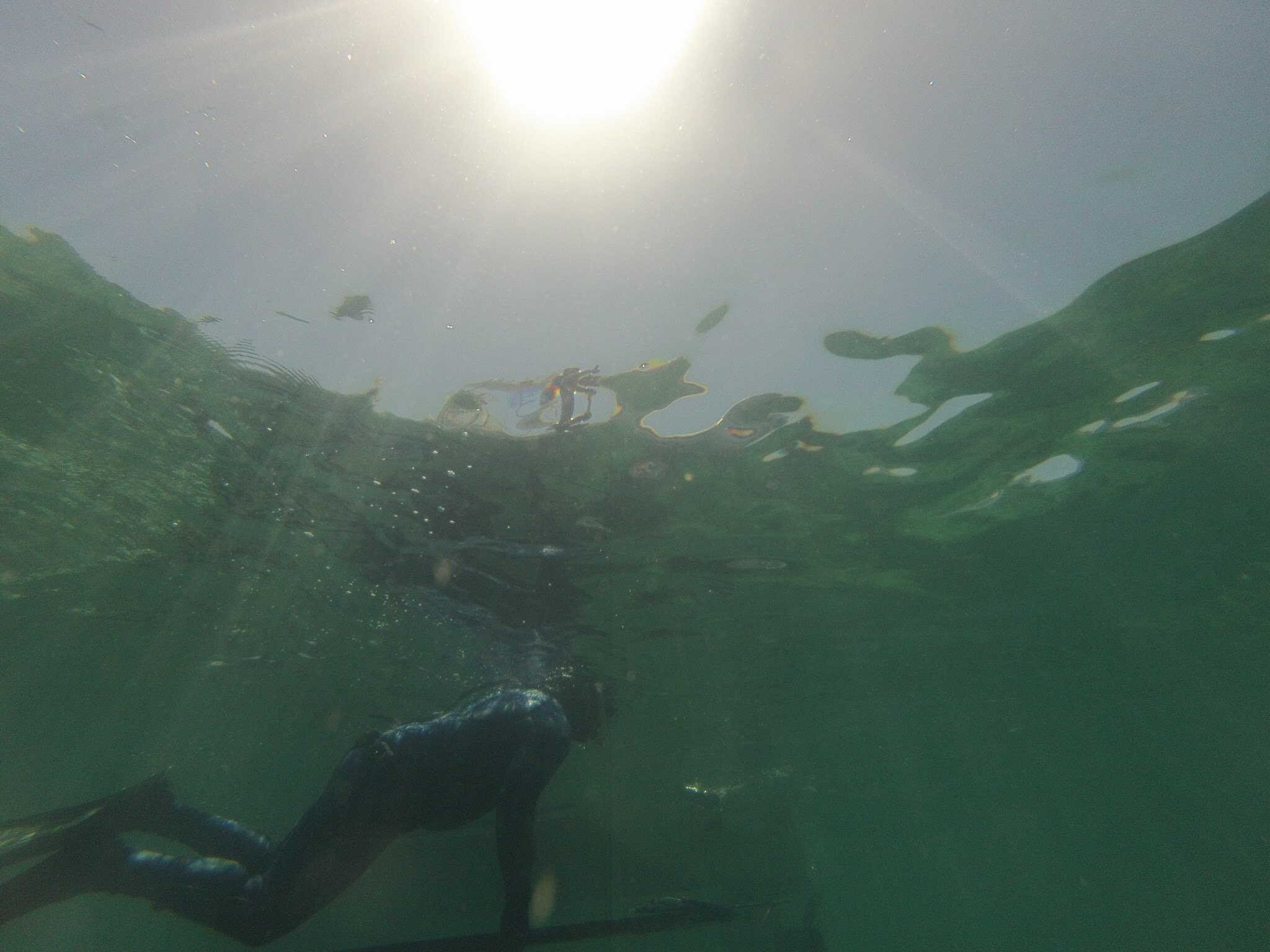 Underwater - HD Wallpaper 