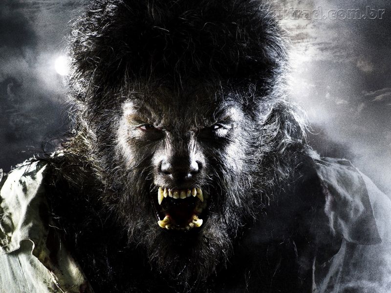 Scary Wolfman - HD Wallpaper 
