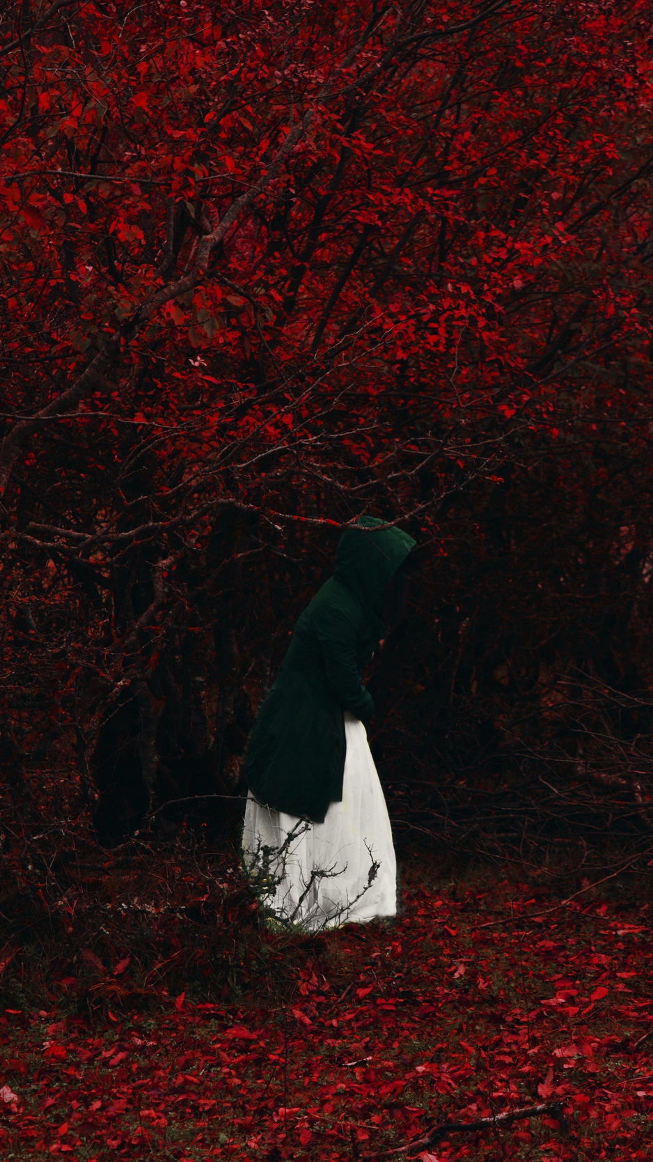 Wallpaper Man, Hood, Forest, Lonely, Loneliness, Autumn, - Red Forest Wallpaper Iphone - HD Wallpaper 