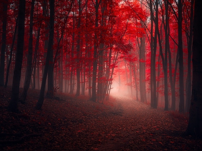 Landscape - HD Wallpaper 