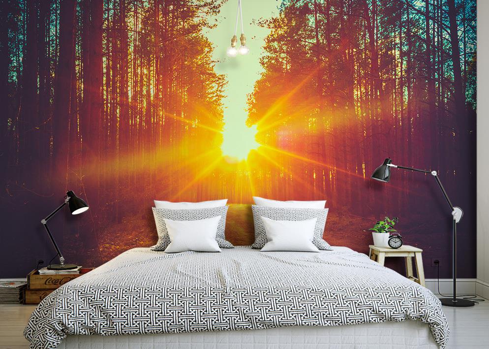 Forest Road Sunset - HD Wallpaper 