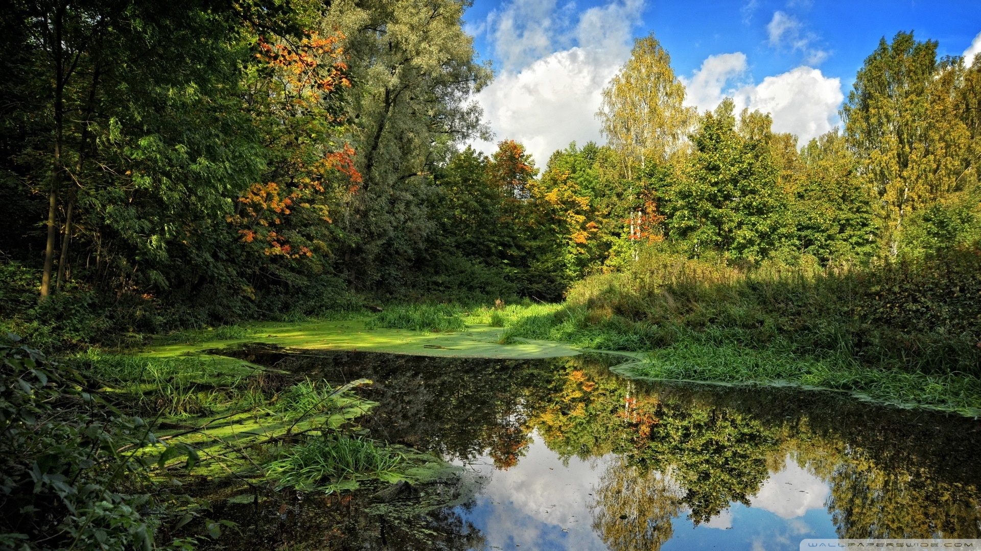 Forest Lake Nature Scene Wallpaper Free Download - Proverbs 16 Vs 2 - HD Wallpaper 