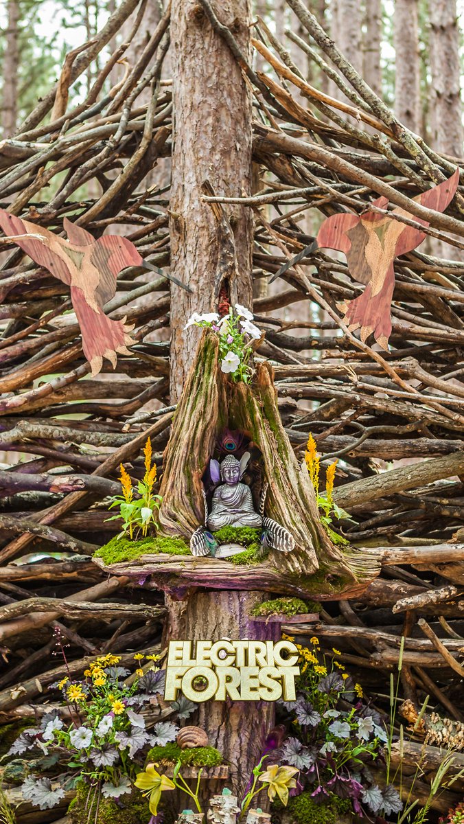 Electric Forest Phone 676x1200 Wallpaper teahub.io