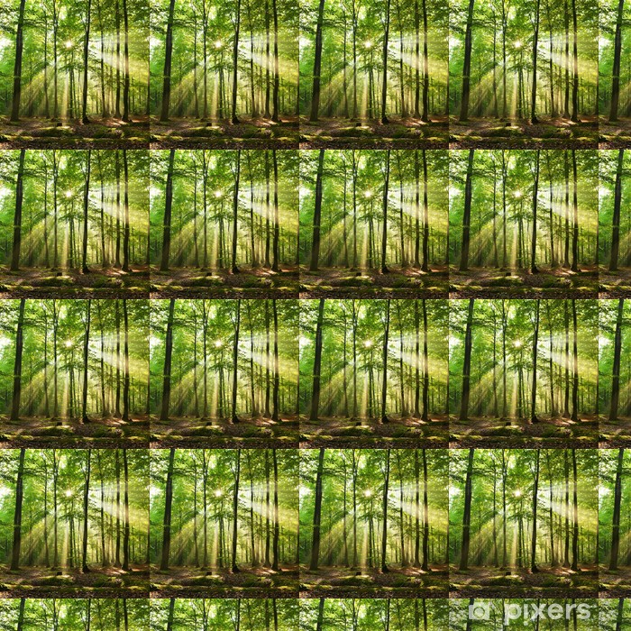 Grass - HD Wallpaper 