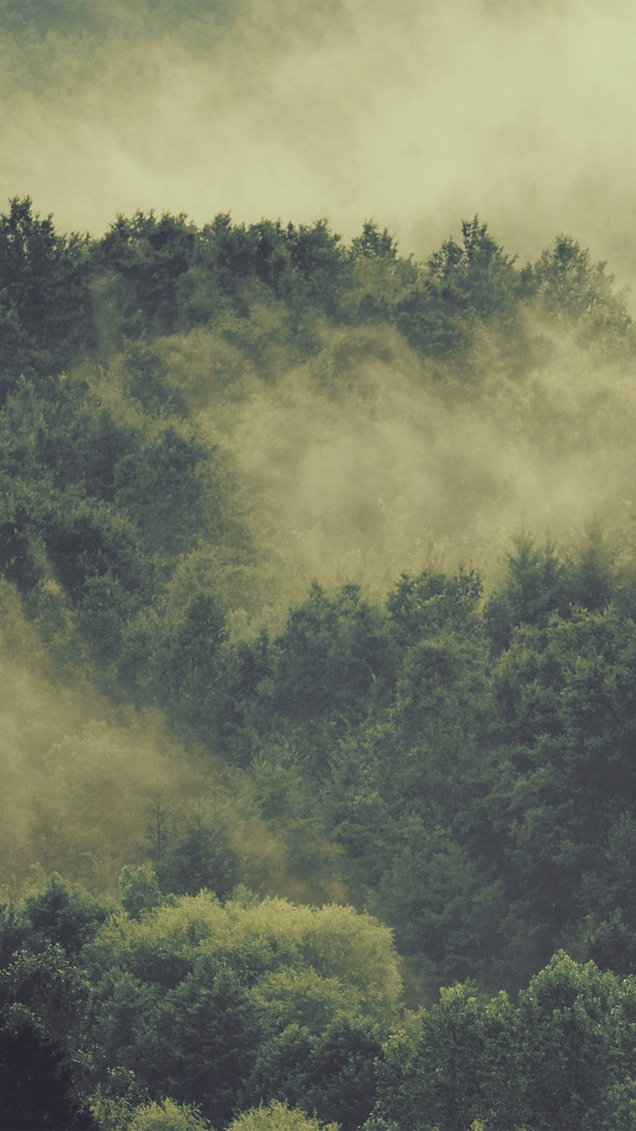 Forest Iphone Wallpaper Mountains - HD Wallpaper 