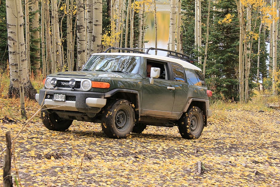 Jeep, 4wd, Four Wheeling, Fj Cruiser, Fall, Car, Off-road - HD Wallpaper 