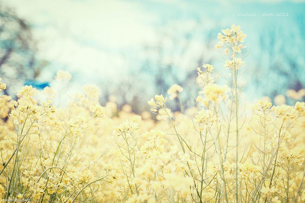 Let All That You Do Be Done - HD Wallpaper 