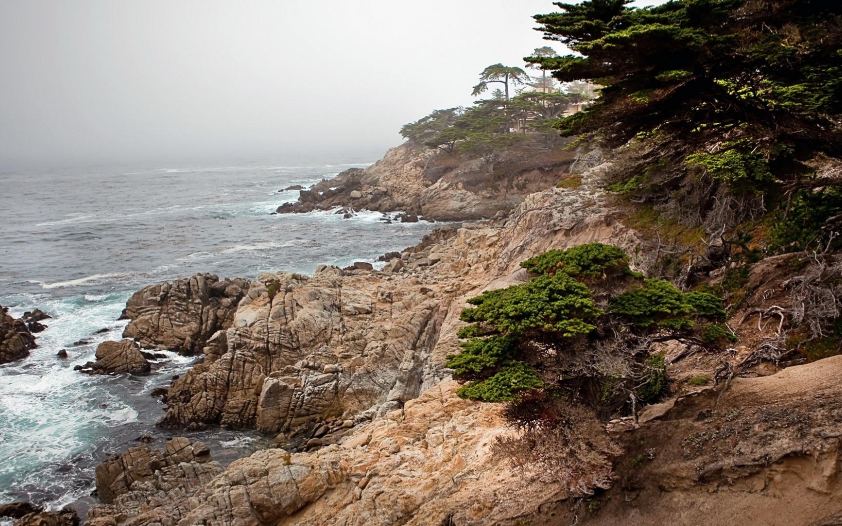 Rugged Rocky Misty Seashore Wallpaper - The Lone Cypress - HD Wallpaper 