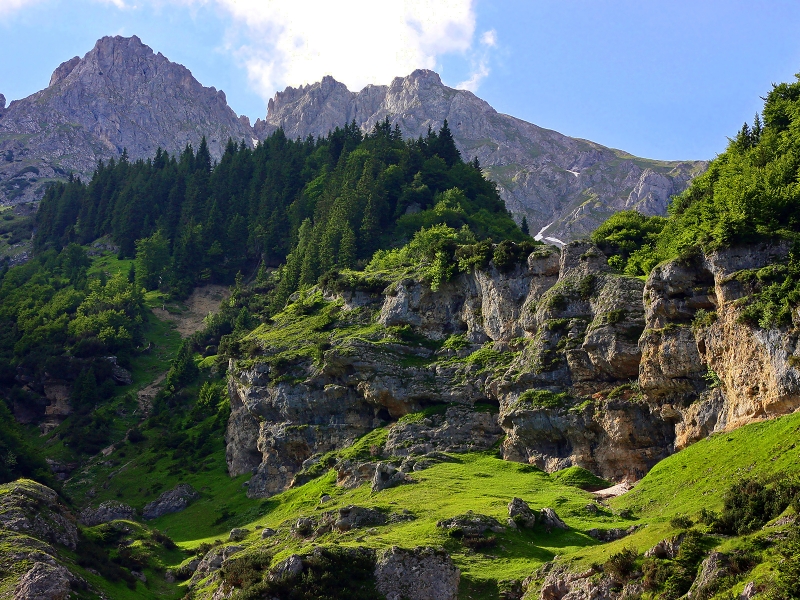 Rocky Forest - HD Wallpaper 