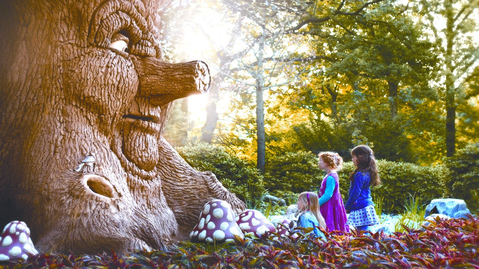 Efteling Fairytale Forest - HD Wallpaper 