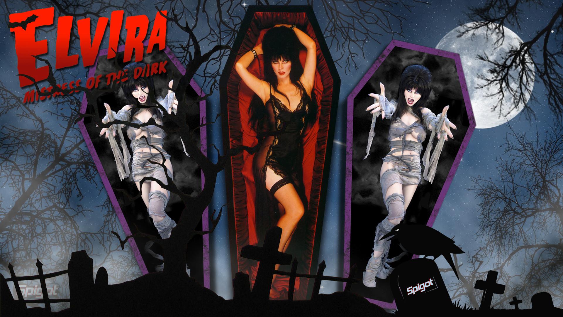 Elvira Wallpaper - Elvira Mistress Of The Dark - HD Wallpaper 