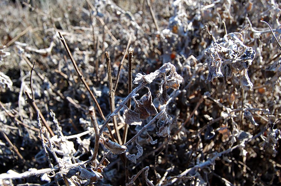 Efteling Wallpaper - HD Wallpaper 