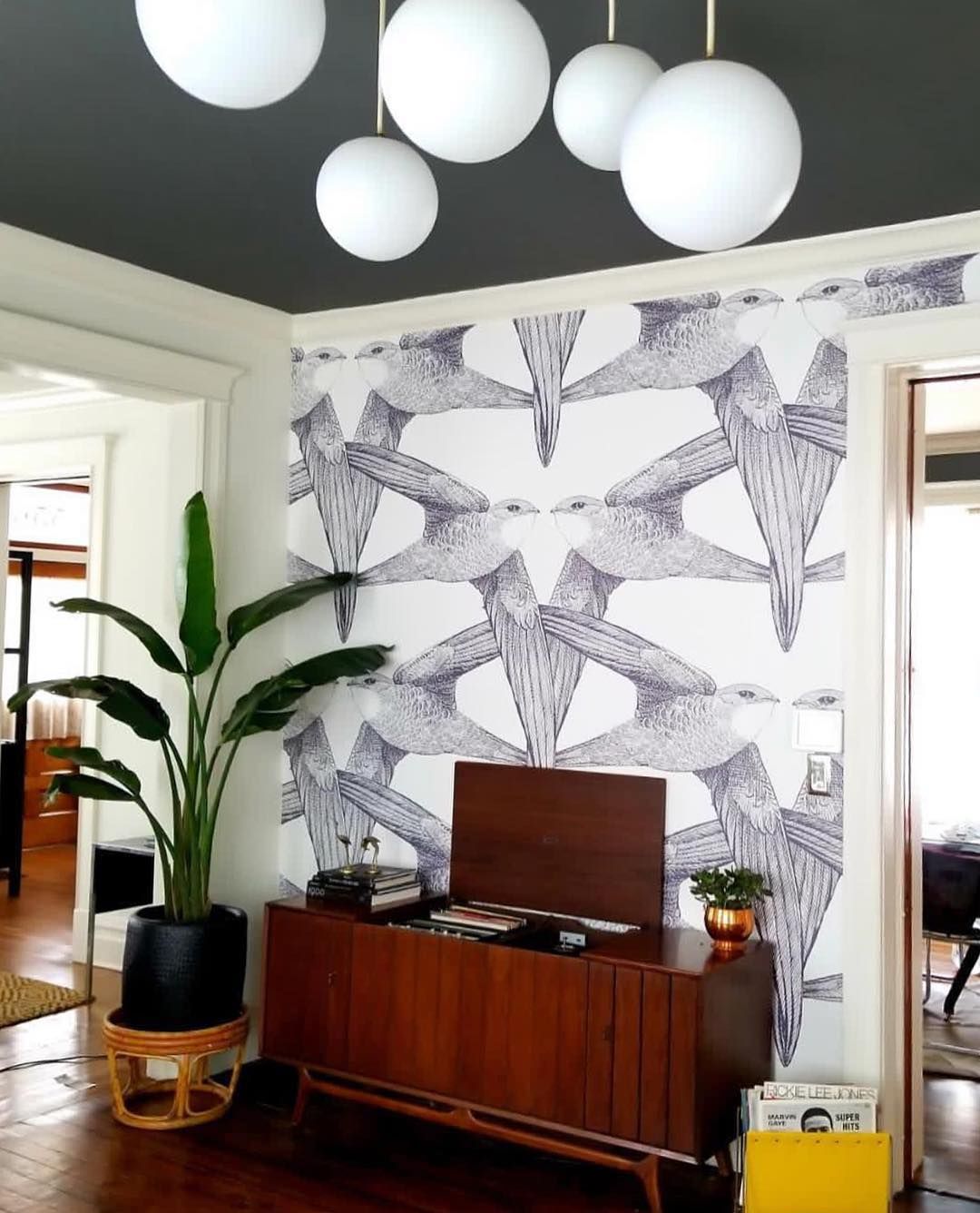 Window Covering - HD Wallpaper 