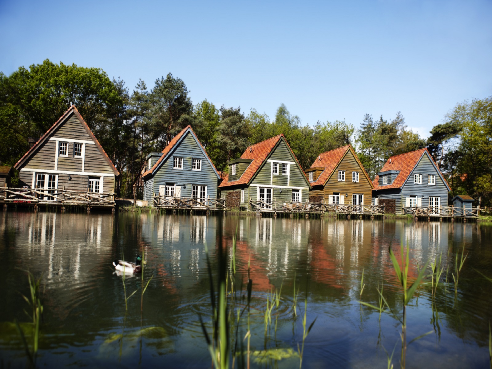 Holiday Parks Netherlands High Res - HD Wallpaper 