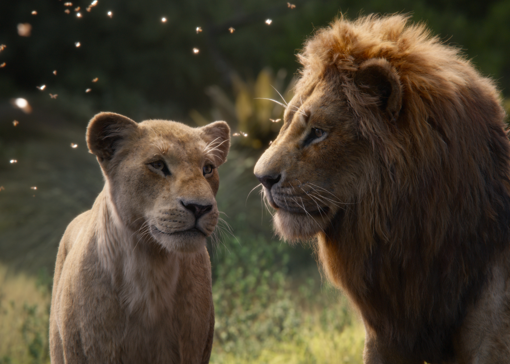 Lion King 2019 Review - HD Wallpaper 