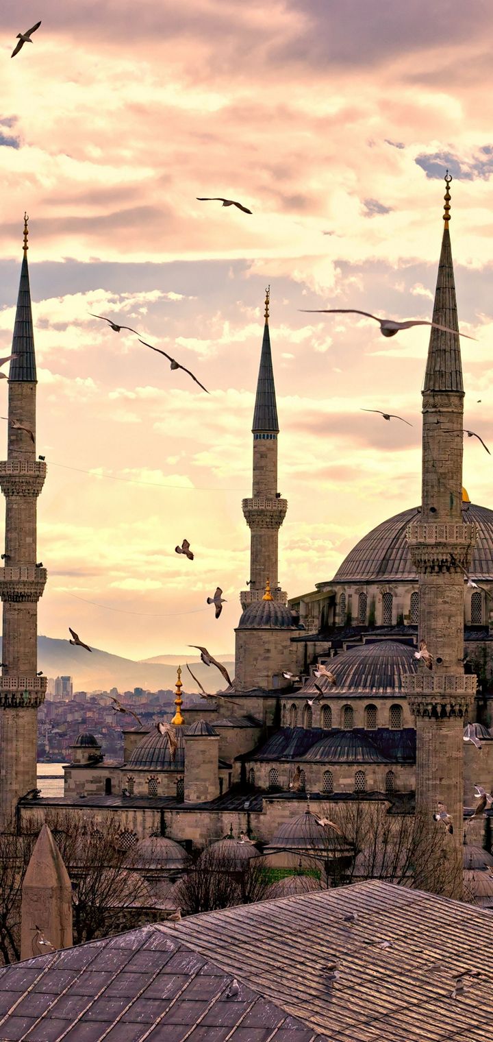 City Turkey Istanbul Wallpaper - Sultan Ahmed Mosque - HD Wallpaper 