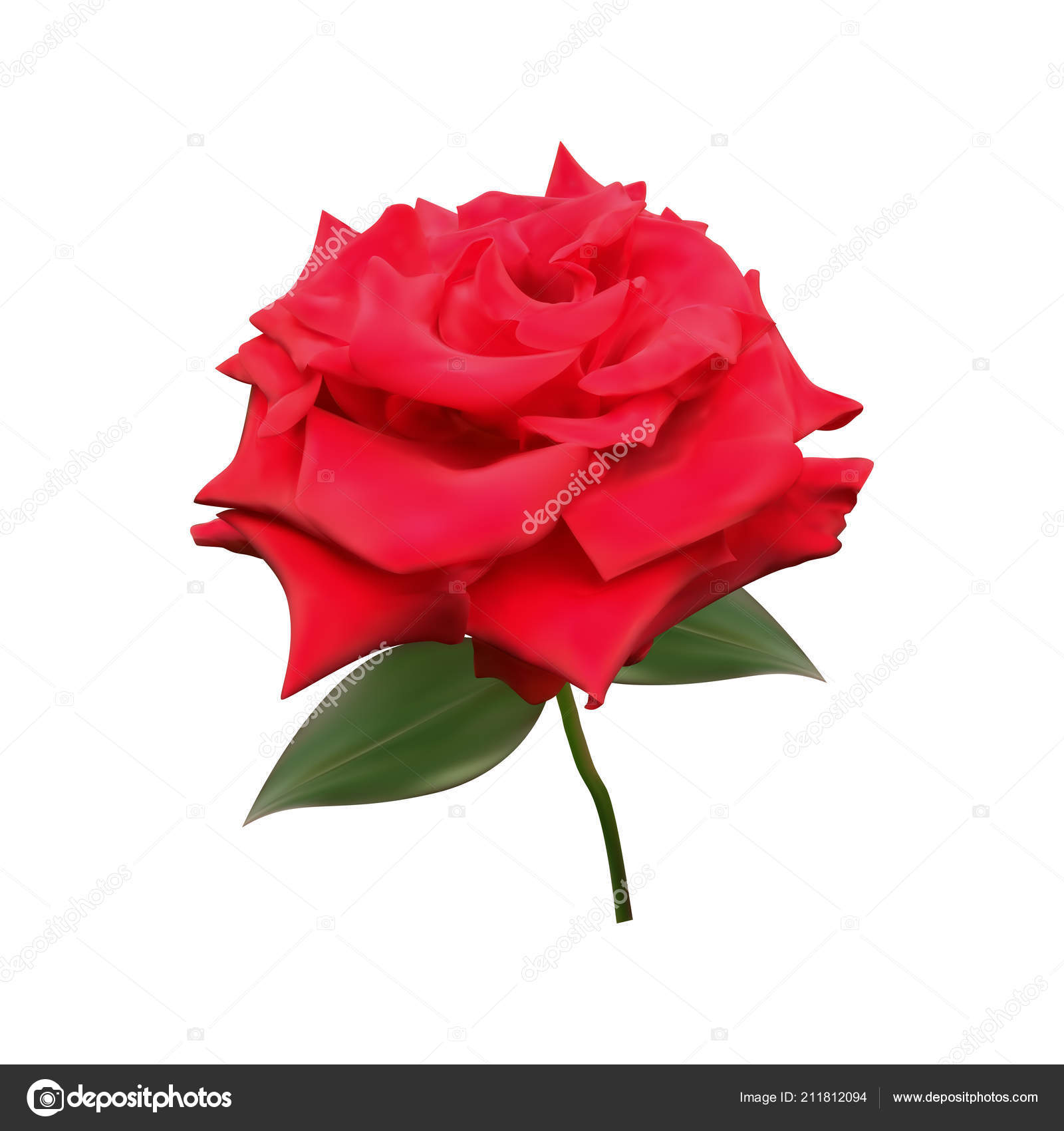Flower Rose Red Watercolor - HD Wallpaper 