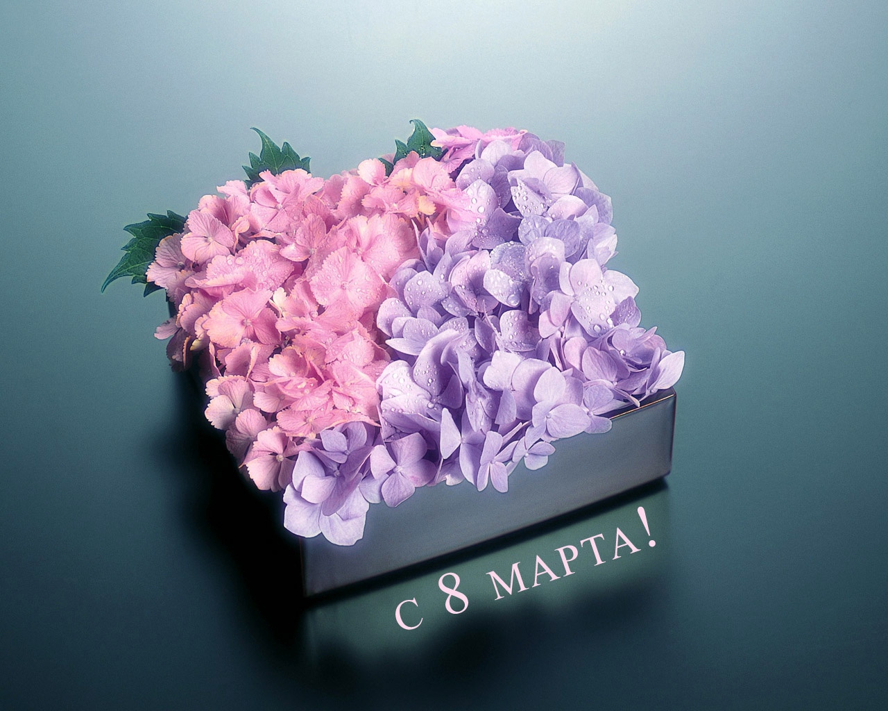 Wallpaper Flowers, Box, Congratulations, Holiday, Leaves, - Нежные Открытки С 8 Марта - HD Wallpaper 
