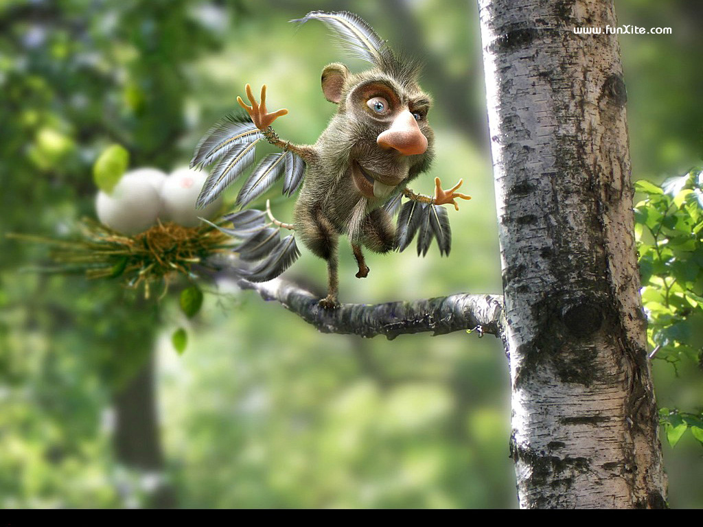 New Amazing - HD Wallpaper 