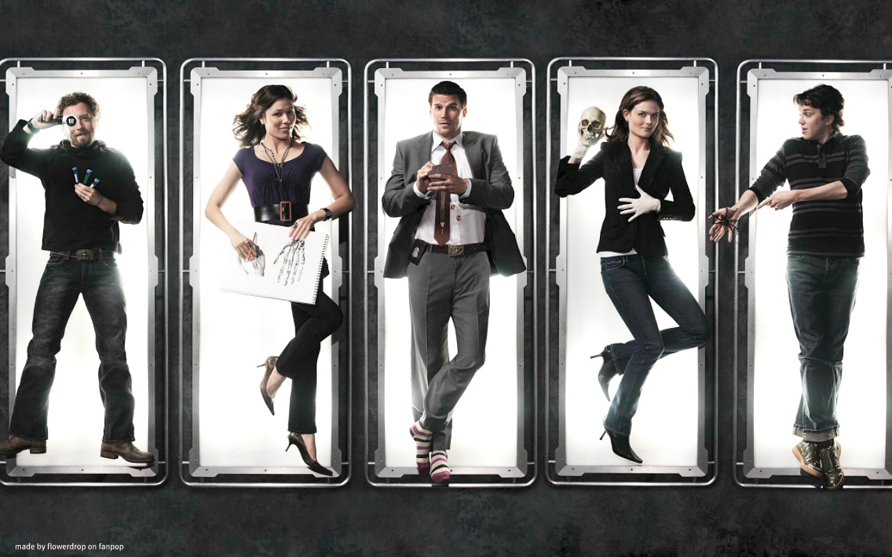 Temperance Brennan Wallpaper - Bones Season 2 Cast - HD Wallpaper 