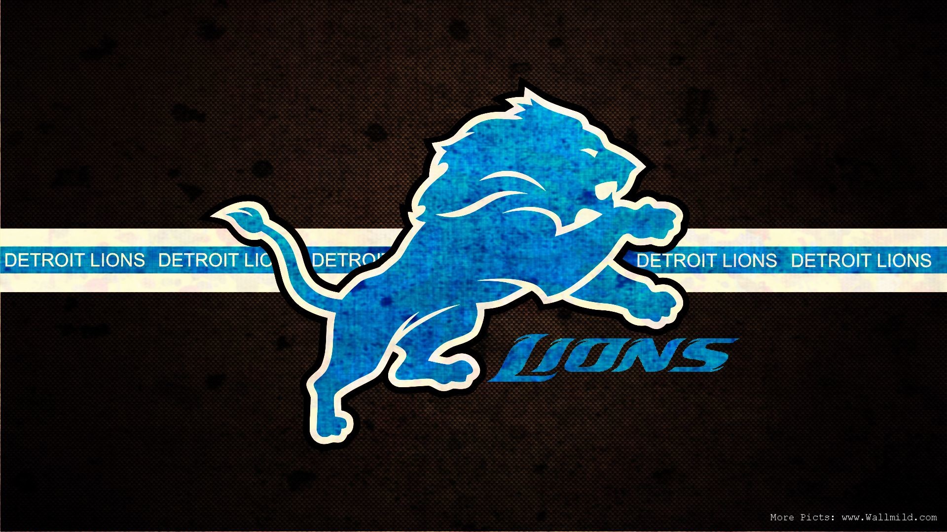 Nfl Football Screensavers For Pinterest 
 Data-src - Detroit Lions Backgrounds - HD Wallpaper 