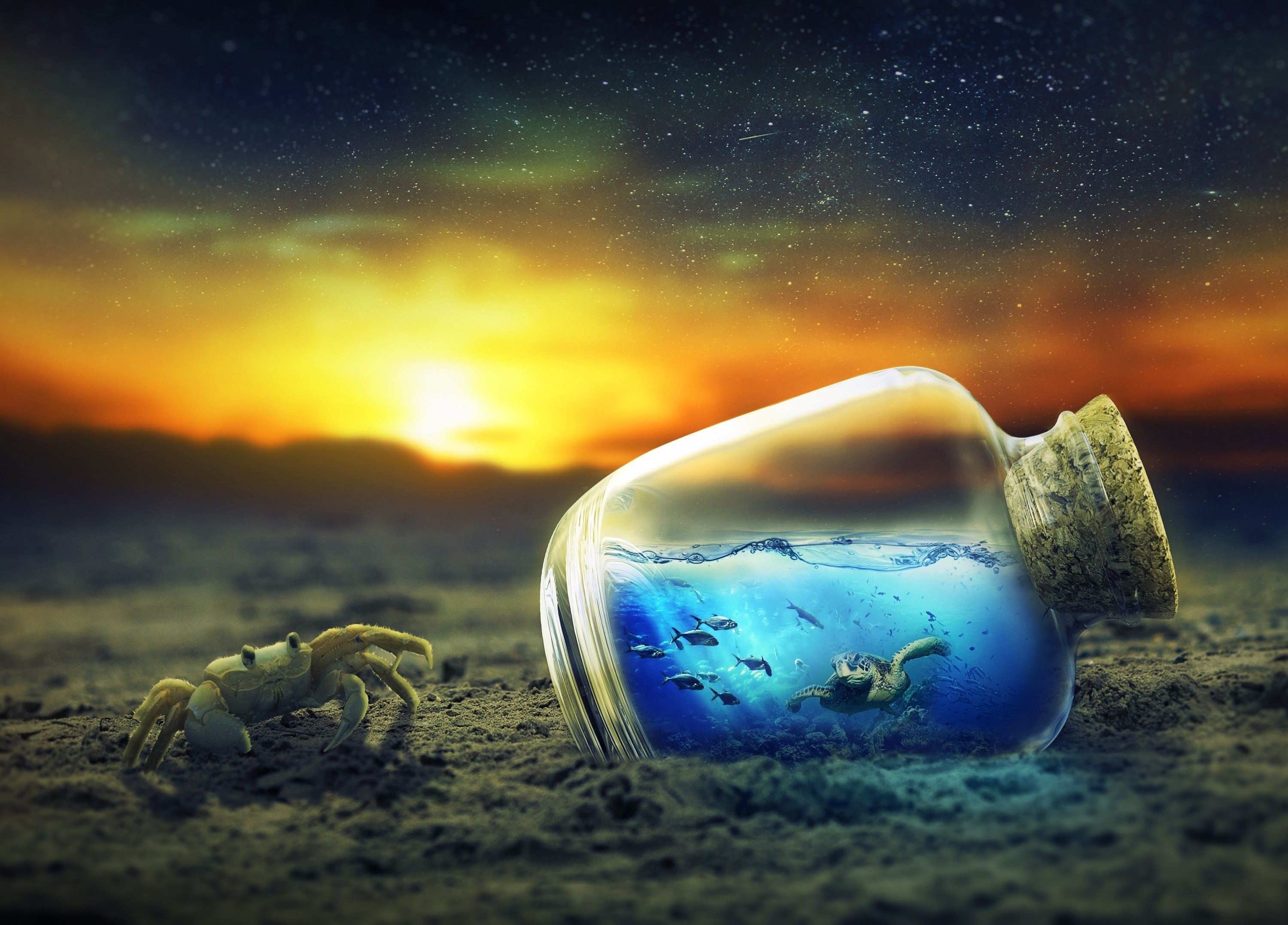 3000x2155, Crab, Sunset, Surreal, Digital Art 
 Data - Surreal 4k - HD Wallpaper 