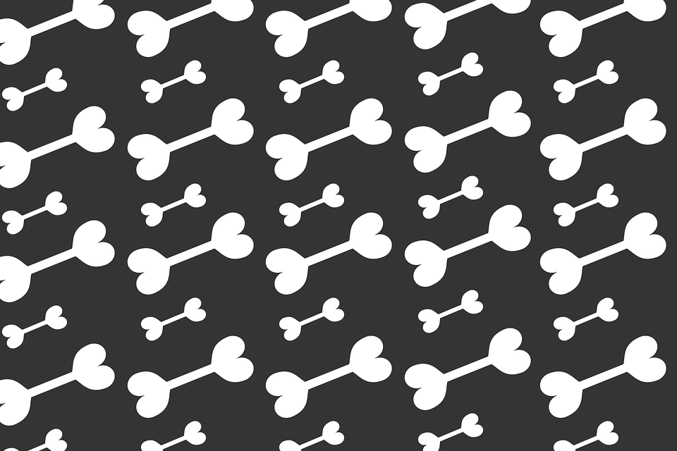 Halloween, Wallpaper, Bones Wallpaper, Bones, Black - Bone Black And White Background - HD Wallpaper 
