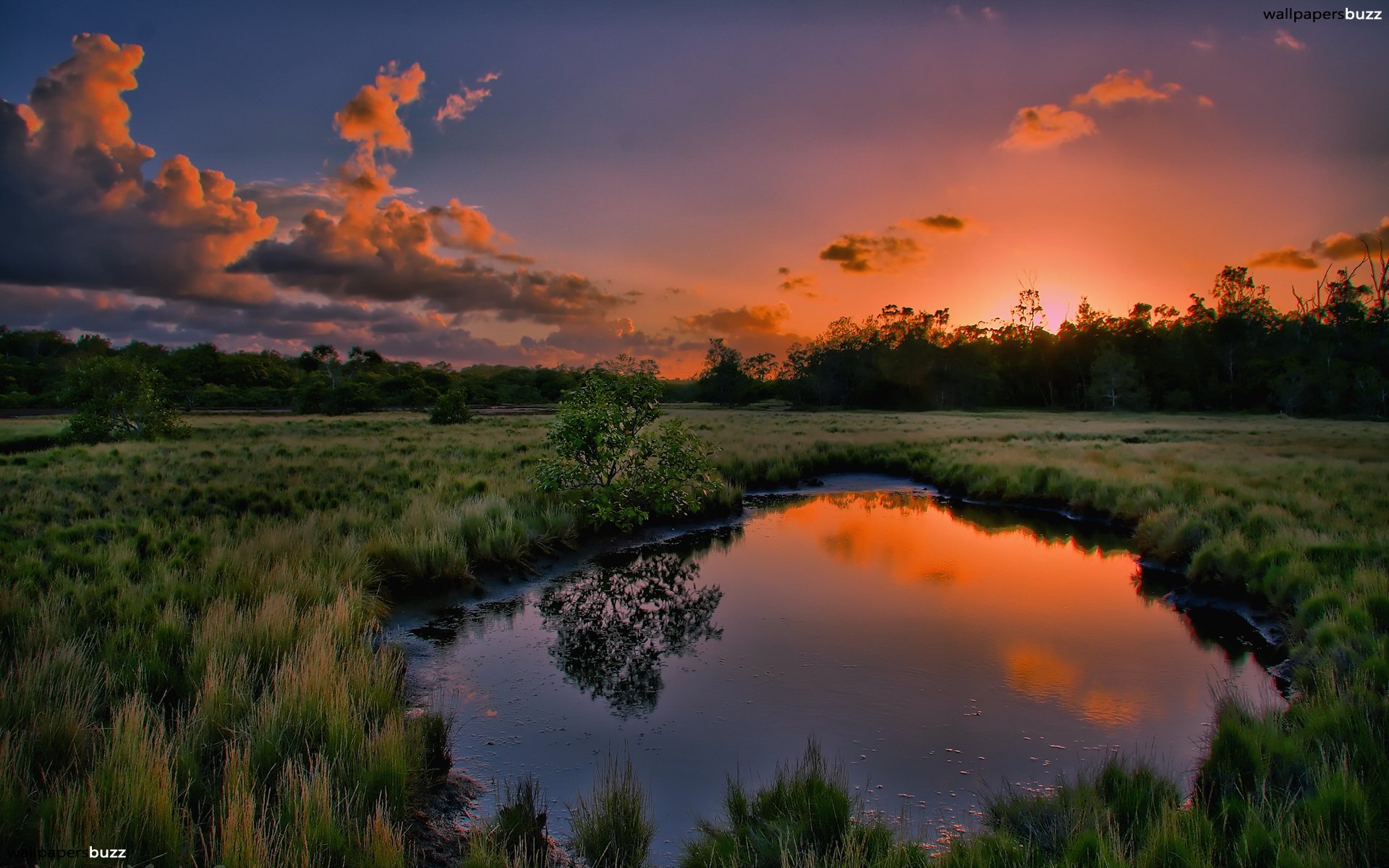 Nature - HD Wallpaper 