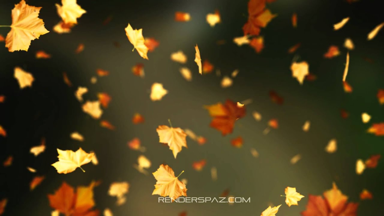 Autumn Leaves Falling Animation - HD Wallpaper 