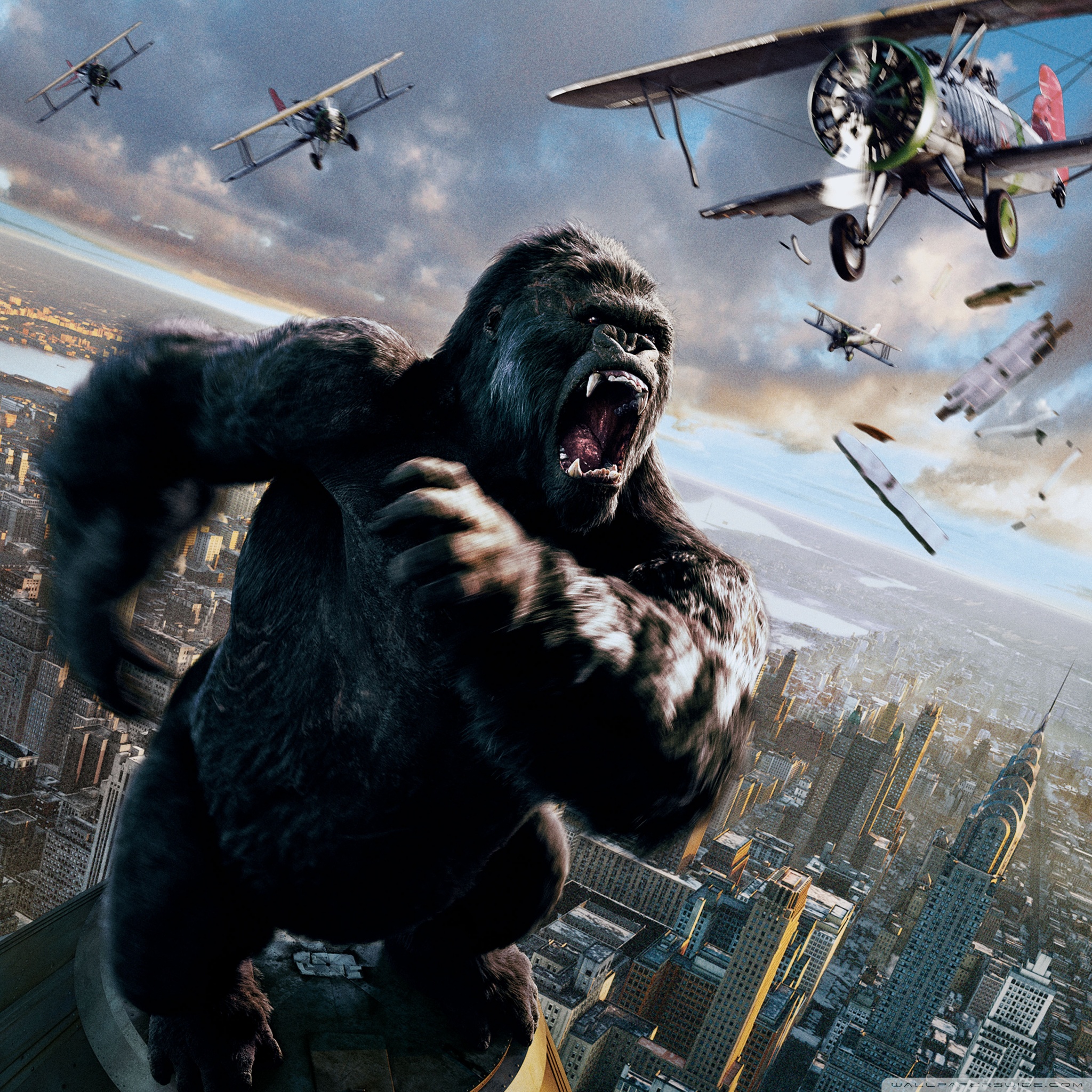 King Kong 4 - HD Wallpaper 