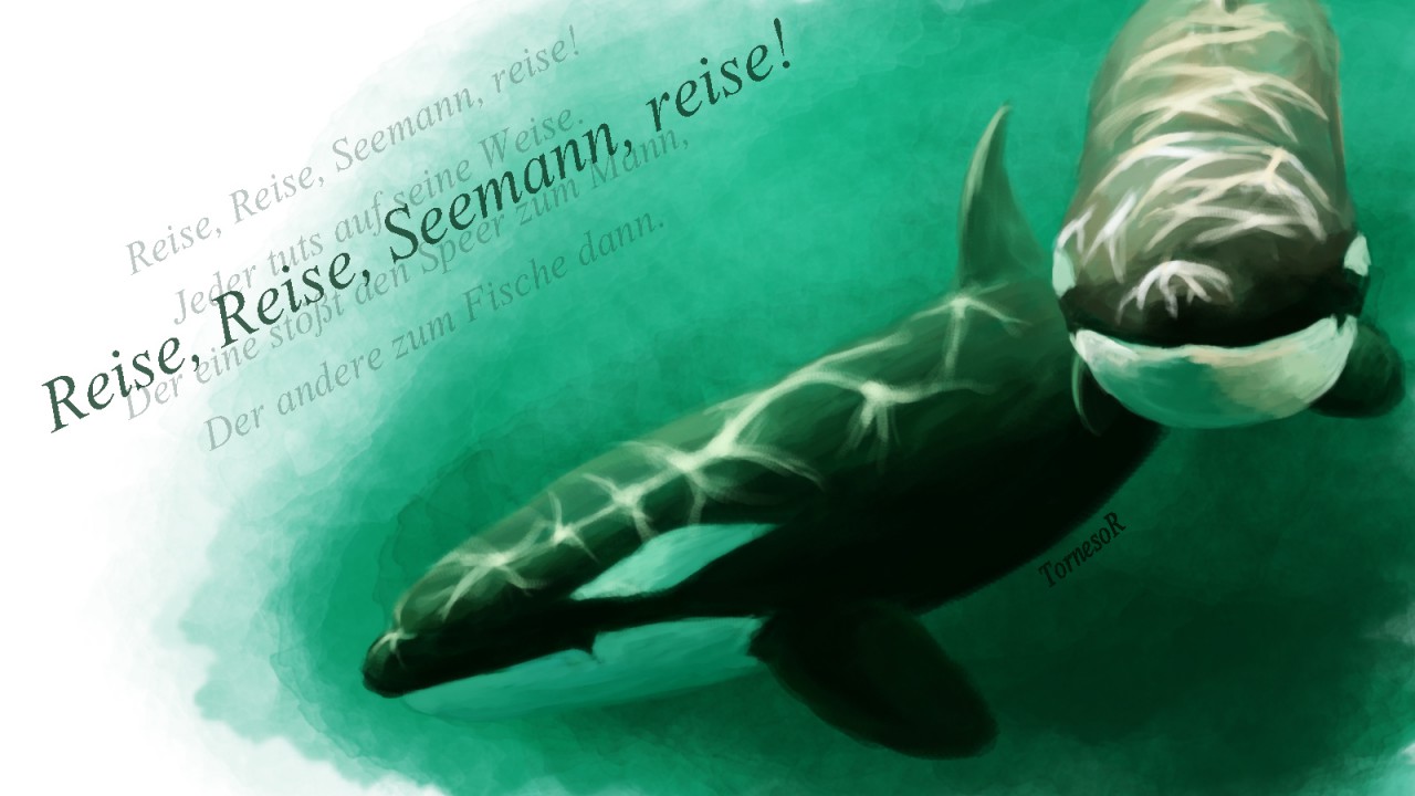 Orca Wallpaper - Lanzarote - HD Wallpaper 