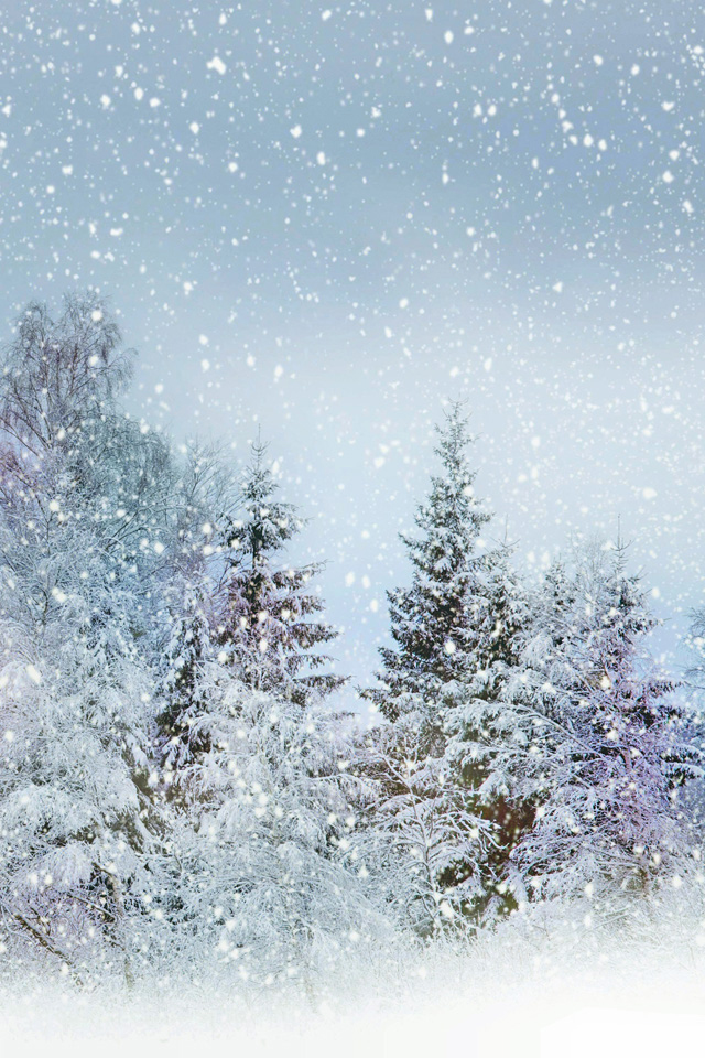 Heavy Snowfall Wallpaper - 雪 地 下 雪 - HD Wallpaper 