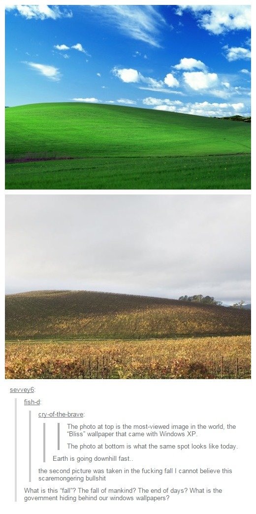 Bliss - - Fished - The Photo At Top Is The Image In - HD Wallpaper 