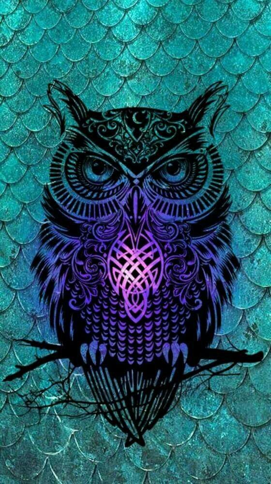 Lock Screen Owl Wallpaper Iphone - HD Wallpaper 