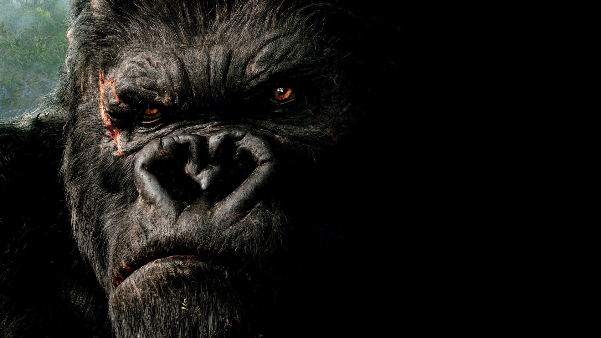 Computer King Kong High Hd Quality Images - King Kong Wallpaper Hd - HD Wallpaper 