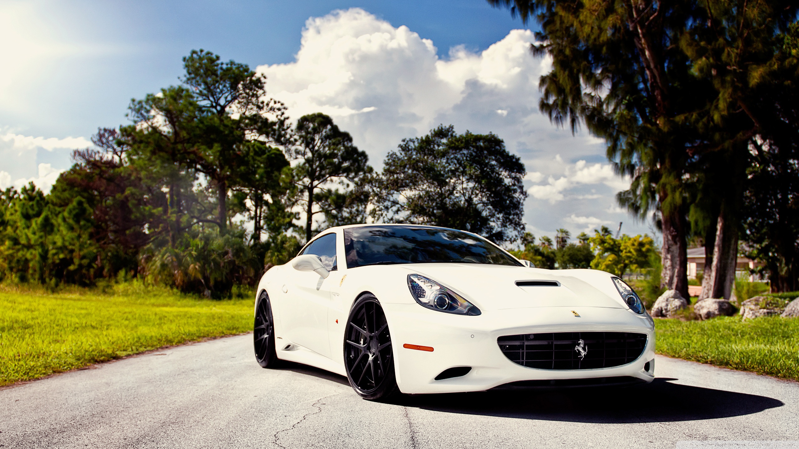 Ferrari White Car Hd 2560x1440 Wallpaper teahub.io