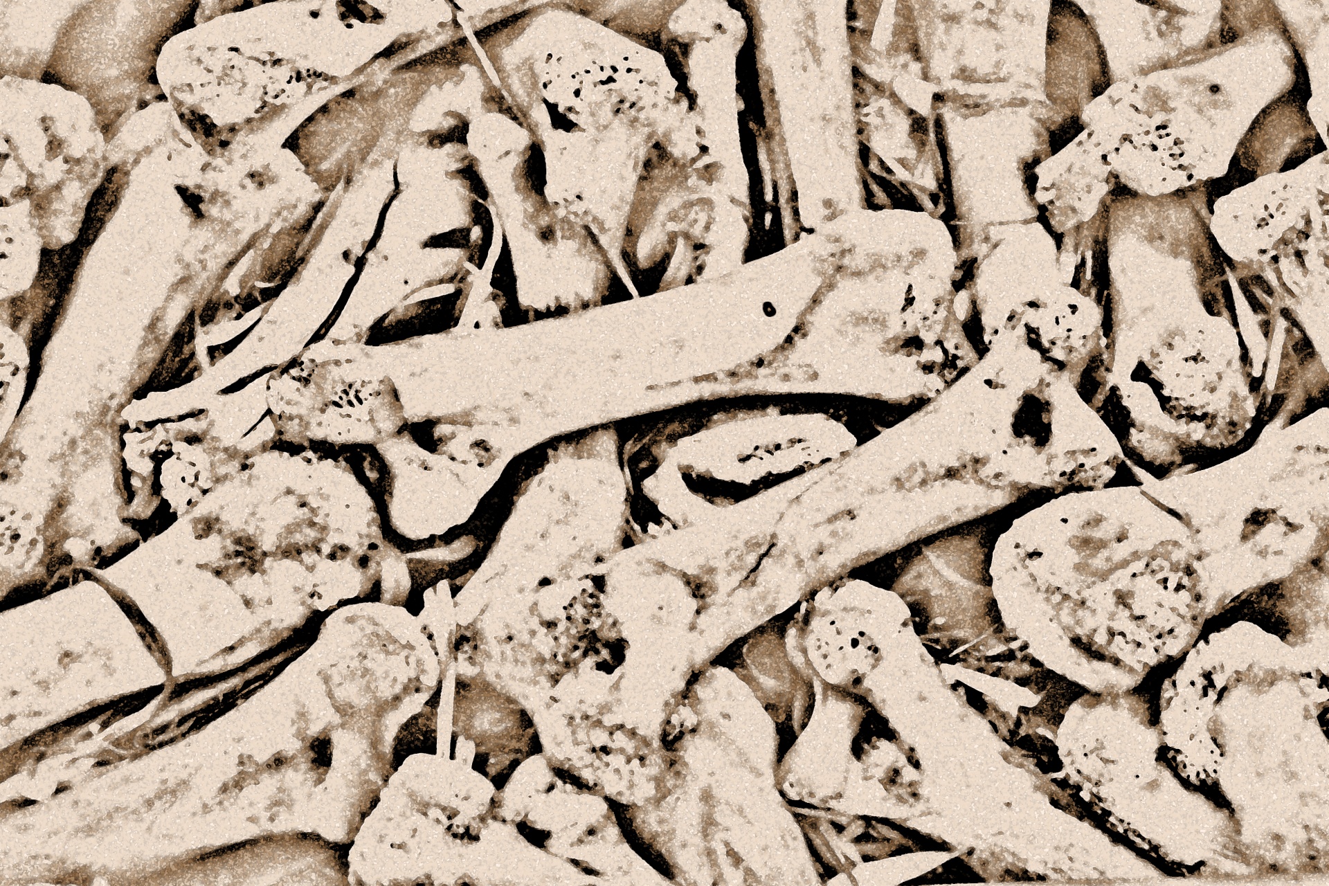 Background Wallpaper Bones Free Photo - Bones Free Background - HD Wallpaper 