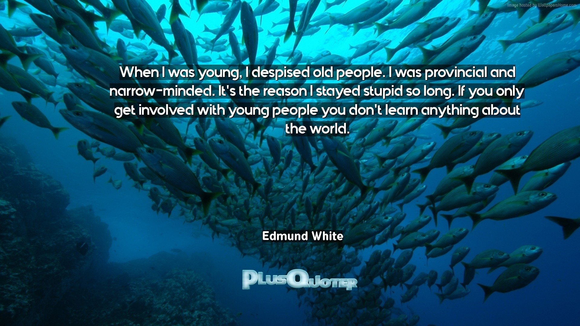 Download Wallpaper With Inspirational Quotes When I - Marine Protection - HD Wallpaper 