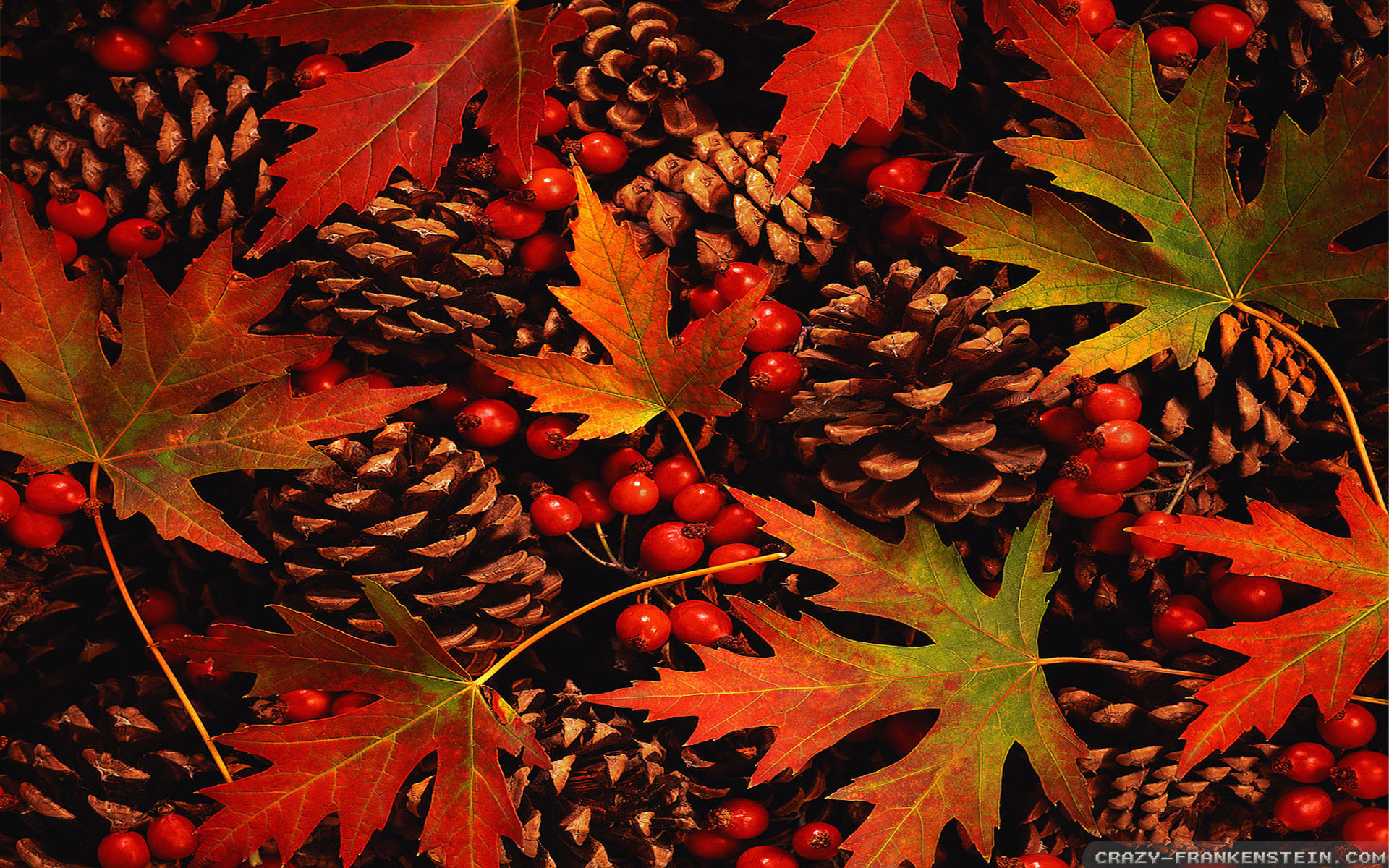 Fall Leaves And Pine Cones - HD Wallpaper 