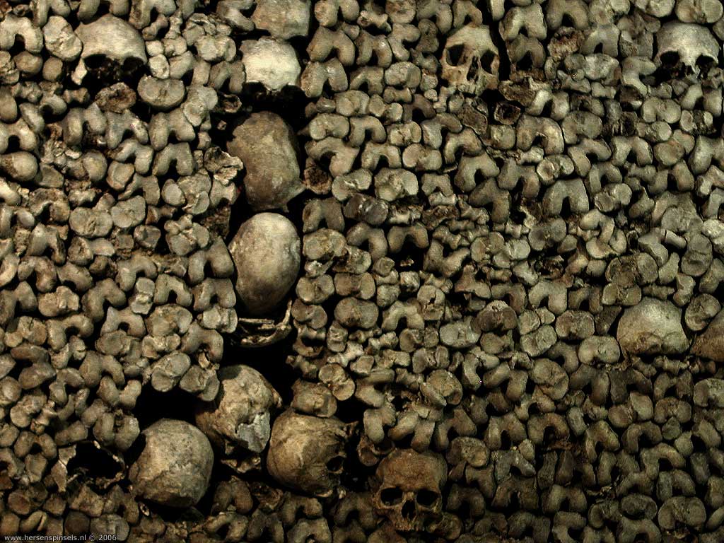 Skulls And Bones - Skulls Bones - HD Wallpaper 