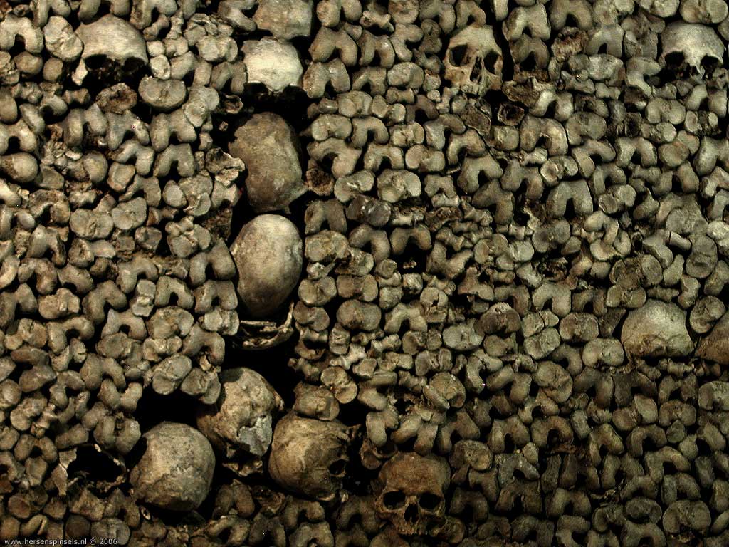 Skulls And Bones - Skulls Bones - HD Wallpaper 
