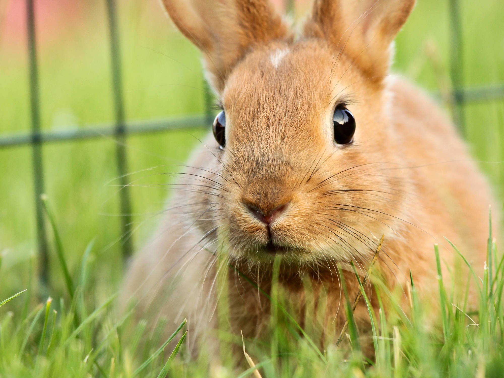 You Hear Theres Cake In The Break Room - HD Wallpaper 