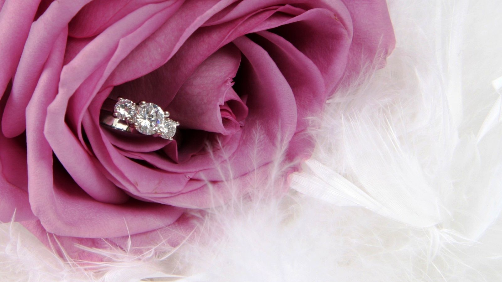 Background Engagement - HD Wallpaper 