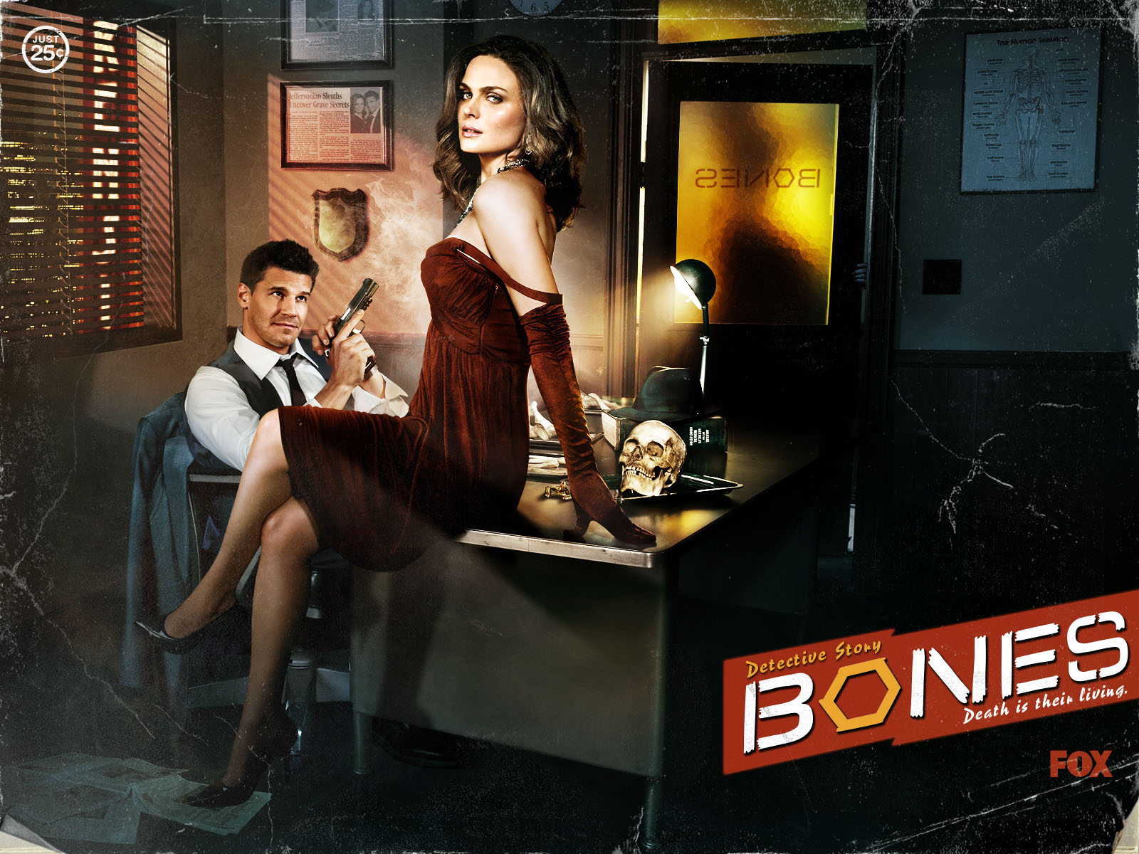 Bones Tv Series, Free 4k Hd Desktop Wallpaper - Brennan Bones Temperance Hot - HD Wallpaper 