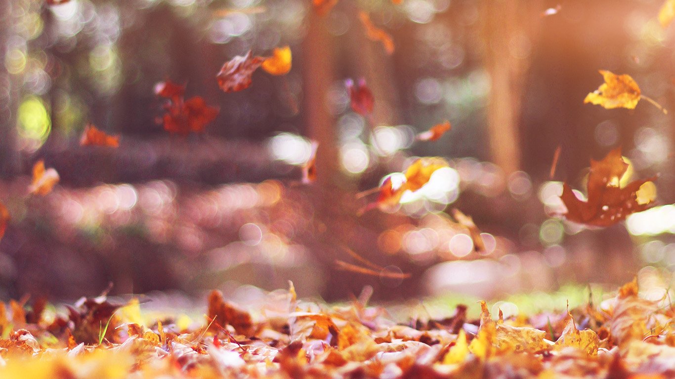 Fall Wallpaper Laptop - HD Wallpaper 