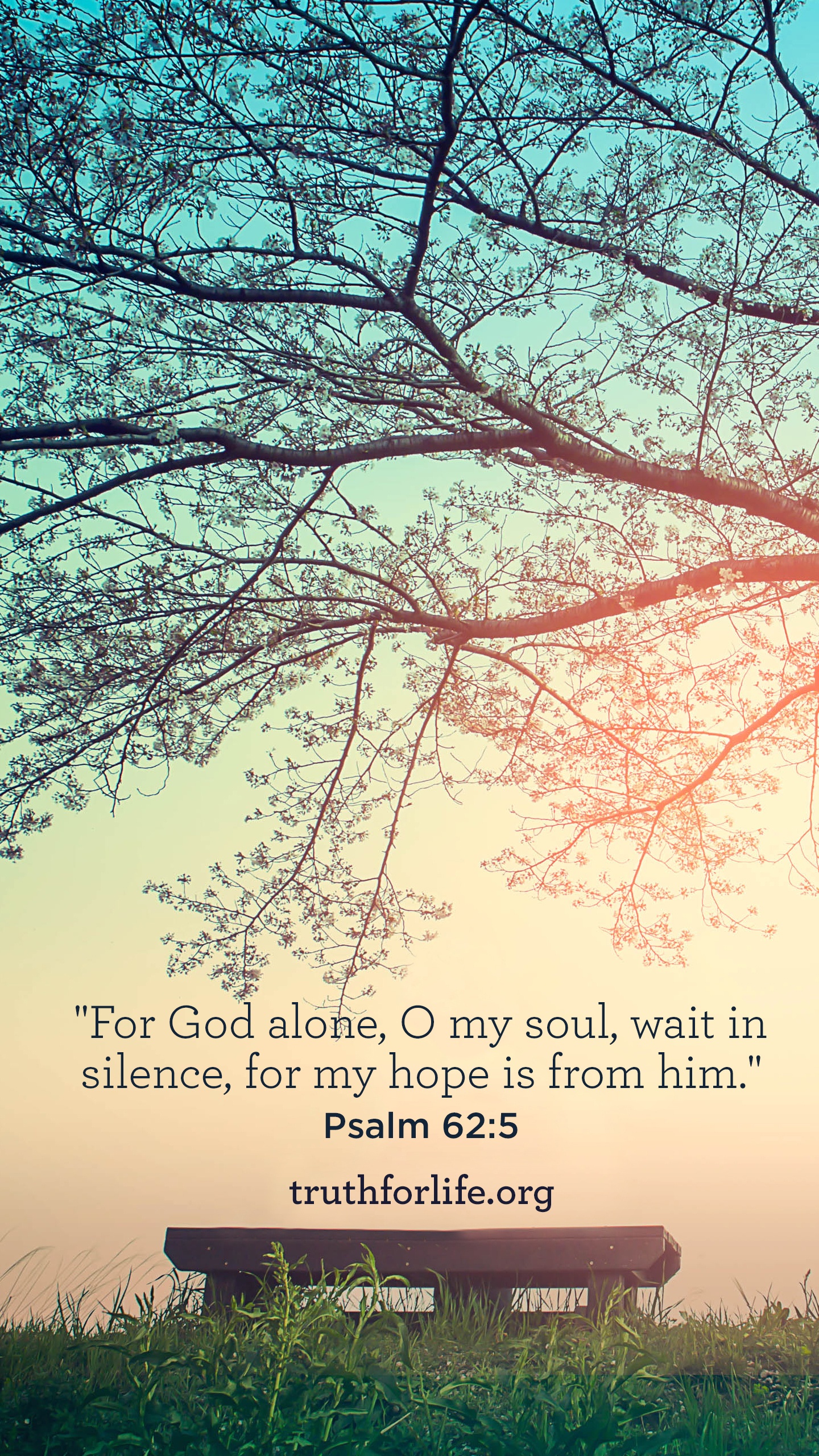 Avoidant Personality Disorder - HD Wallpaper 