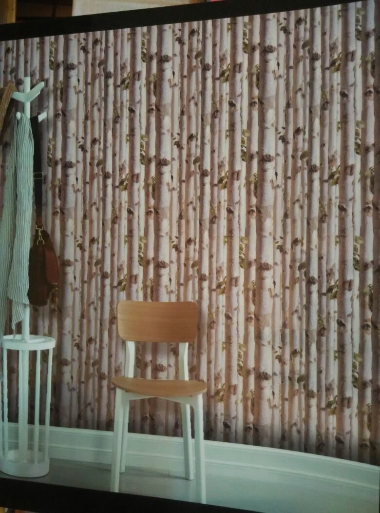 Window Covering - HD Wallpaper 