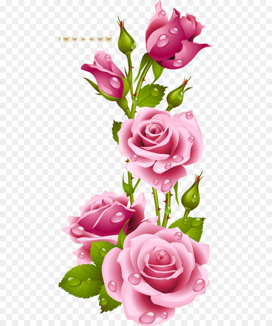 Flower Rose Wallpaper Png - HD Wallpaper 