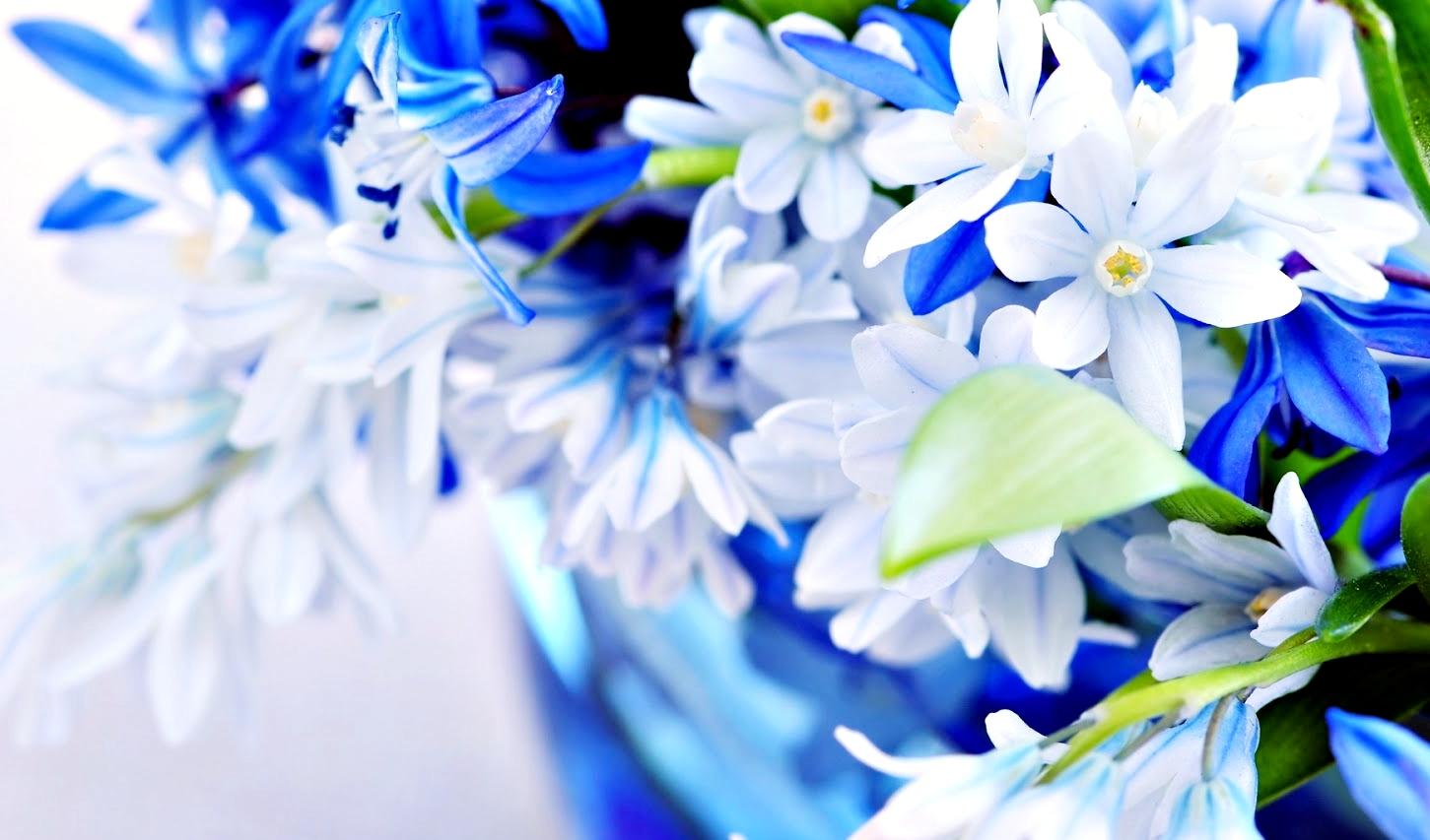 Gambar Wallpaper Bunga - Natural Flowers3d - HD Wallpaper 